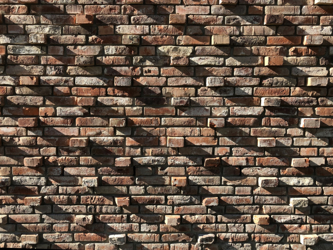 ����� ���� ��� ����������