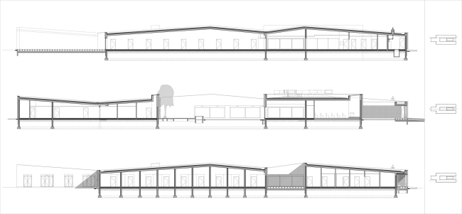 ����� ���� ��� ����������