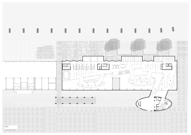 ������� ����� ��������������� ������������