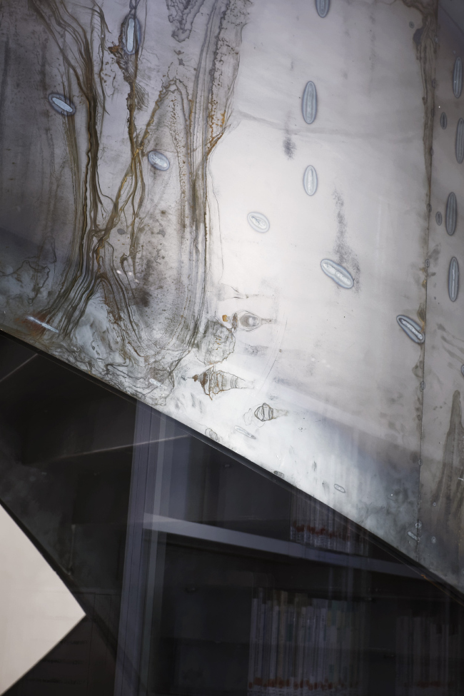 ����������� ��������� ������������ ����� I