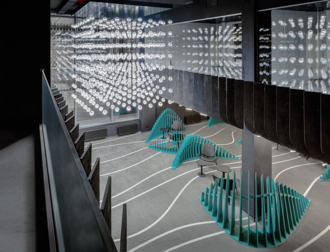 ��������� � �� �����������