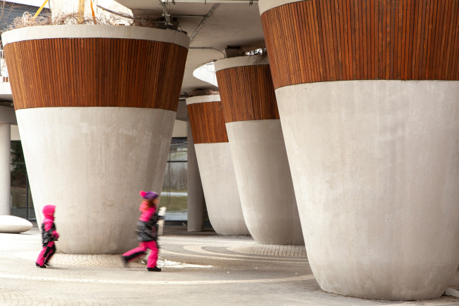 ����� �������� ������� (������� 1�)