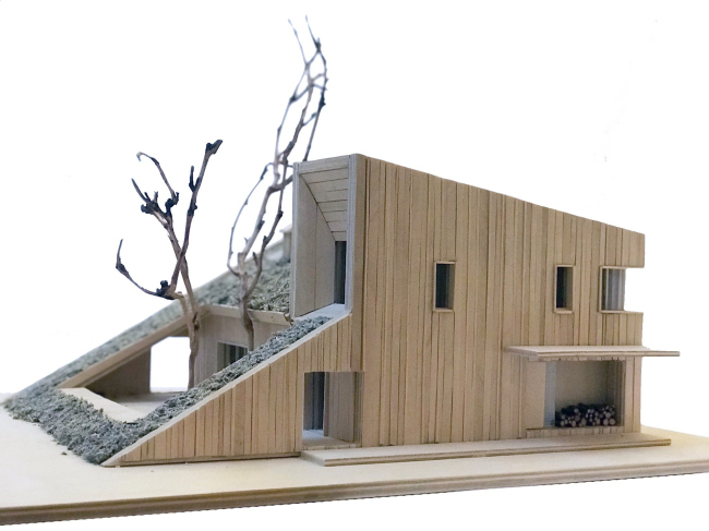 ����� ���