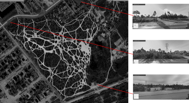 ���� ��������