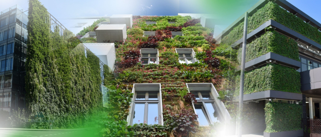 ���������� �������