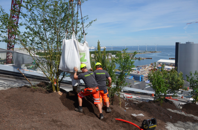 �������� ��� �������� ��� ������ �� ����� � ������� ����� � ������� ������