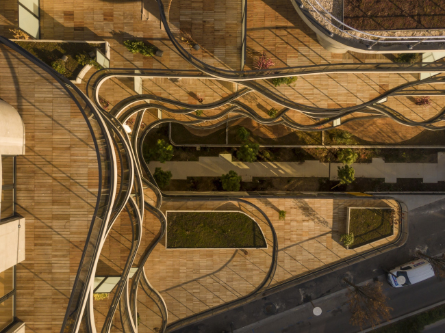 ����� �������� Courbes