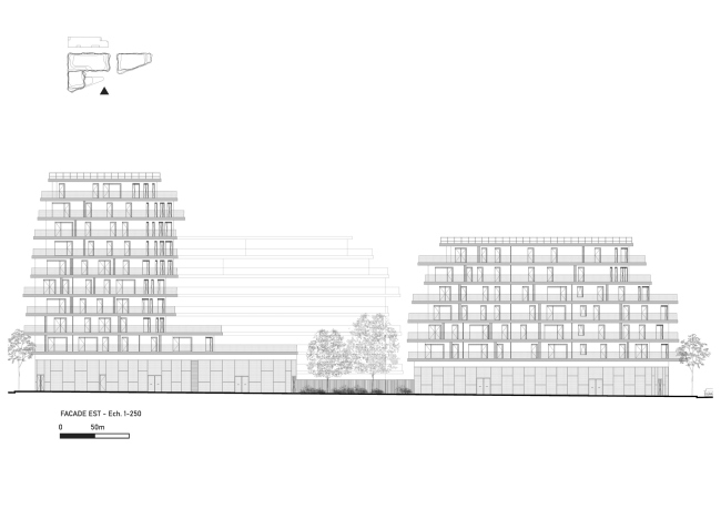 ����� �������� Courbes