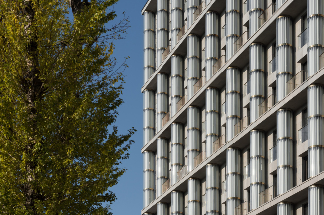 �� ������������ XII�