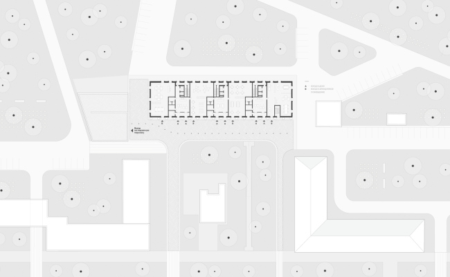 ����������� ����. �� ������������ XII�