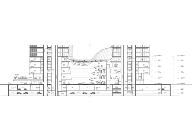 �������� The Opus