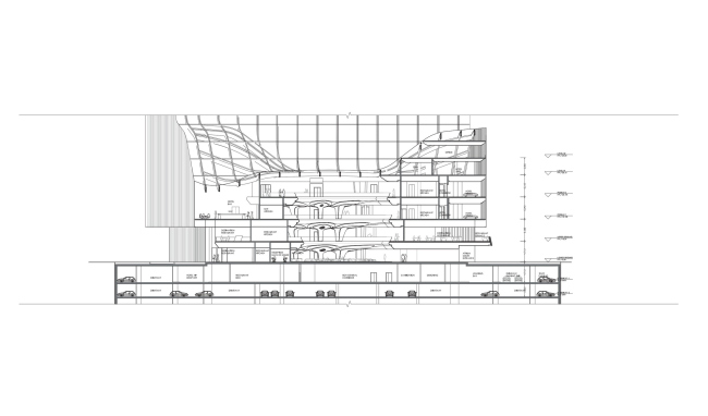 �������� The Opus