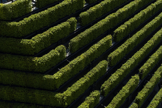 �������� Kö-Bogen II