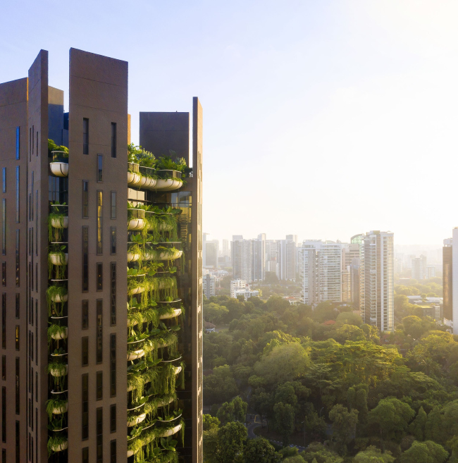 ����� �������� EDEN