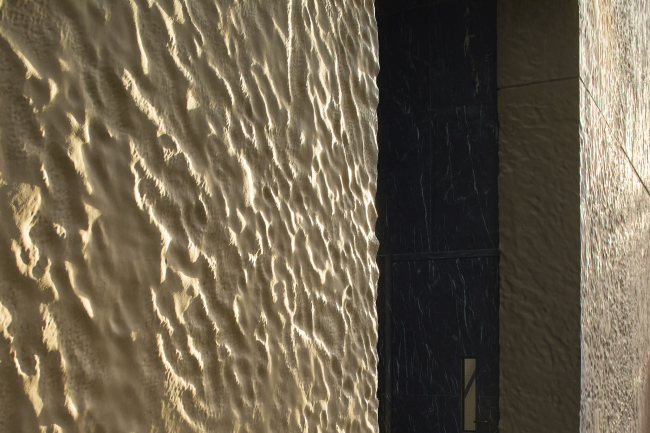 ����� �������� EDEN