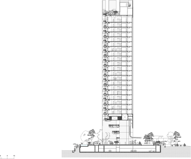 ����� �������� EDEN