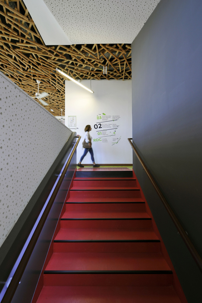 �����-���������� C��-�����