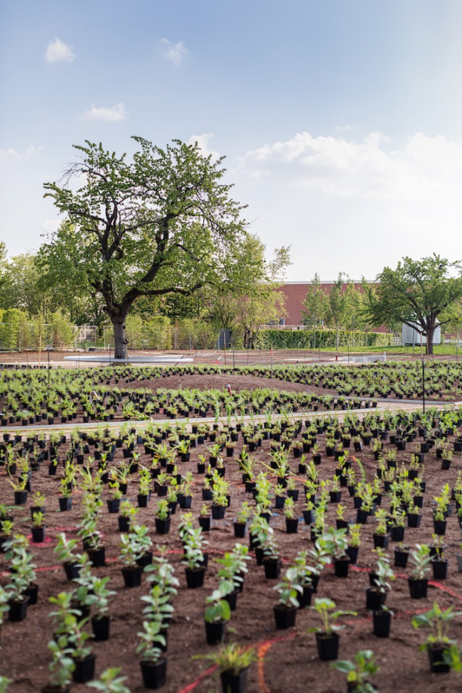 ���� ���� ���� ������� �� ������� Vitra, 2020