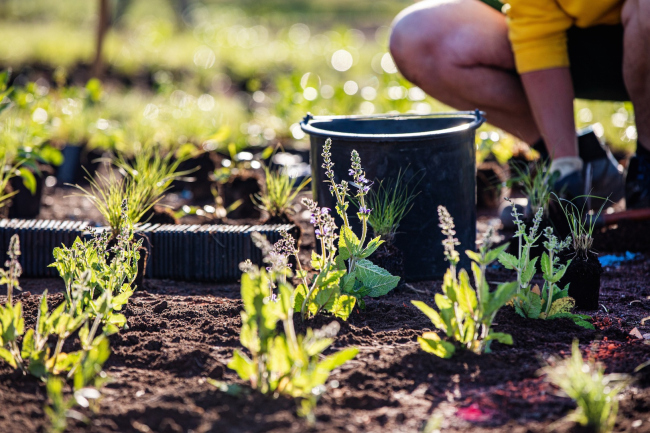 ���� ���� ���� ������� �� ������� Vitra, 2020