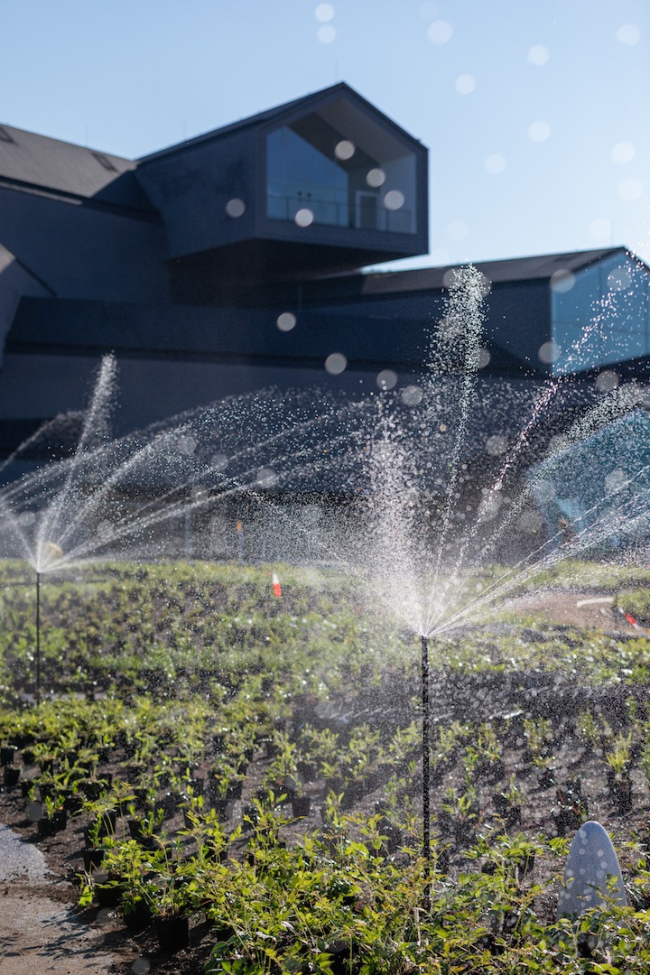 ���� ���� ���� ������� �� ������� Vitra, 2020