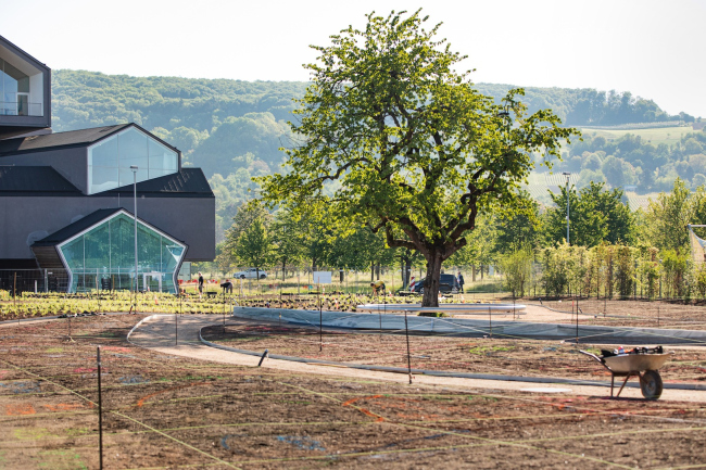 ���� ���� ���� ������� �� ������� Vitra, 2020