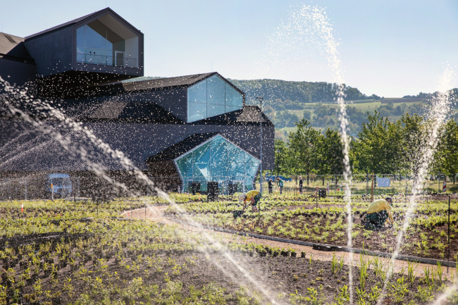 ���� ���� ���� ������� �� ������� Vitra, 2020