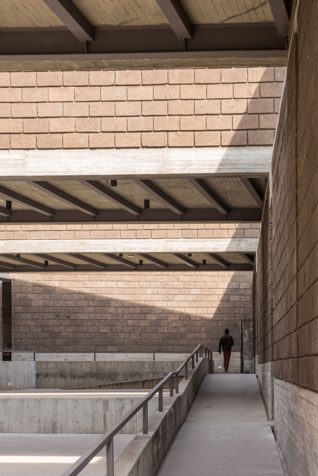 ������������ ����� Los Chocolates