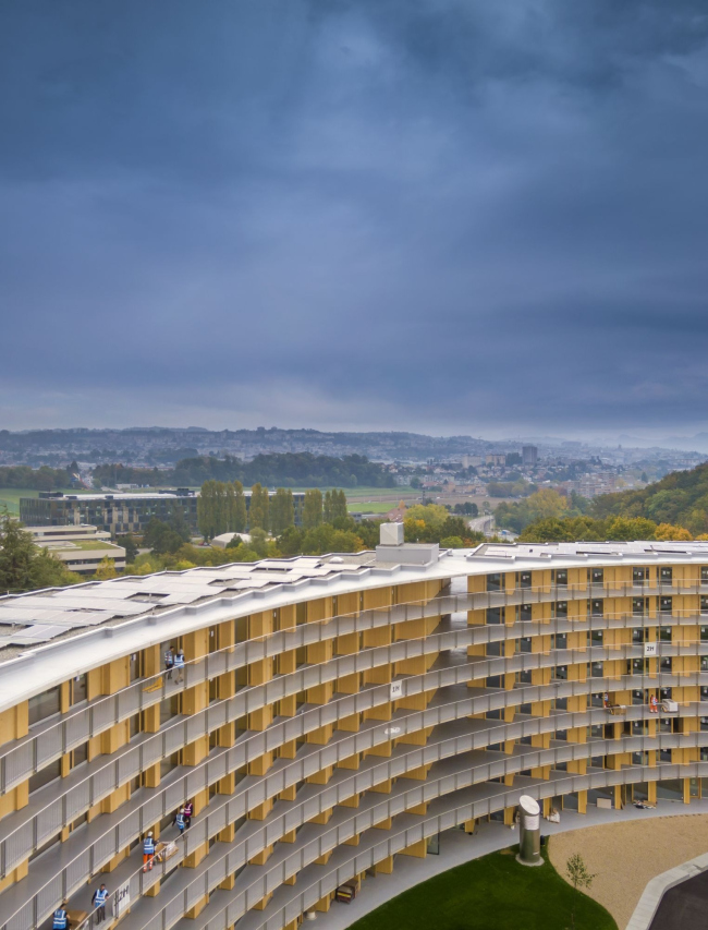 ������������ ��������� Vortex