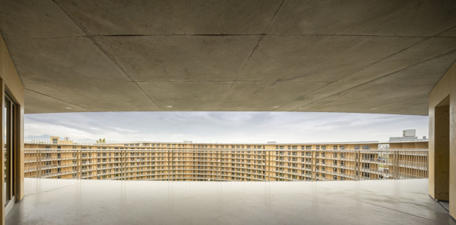 ������������ ��������� Vortex