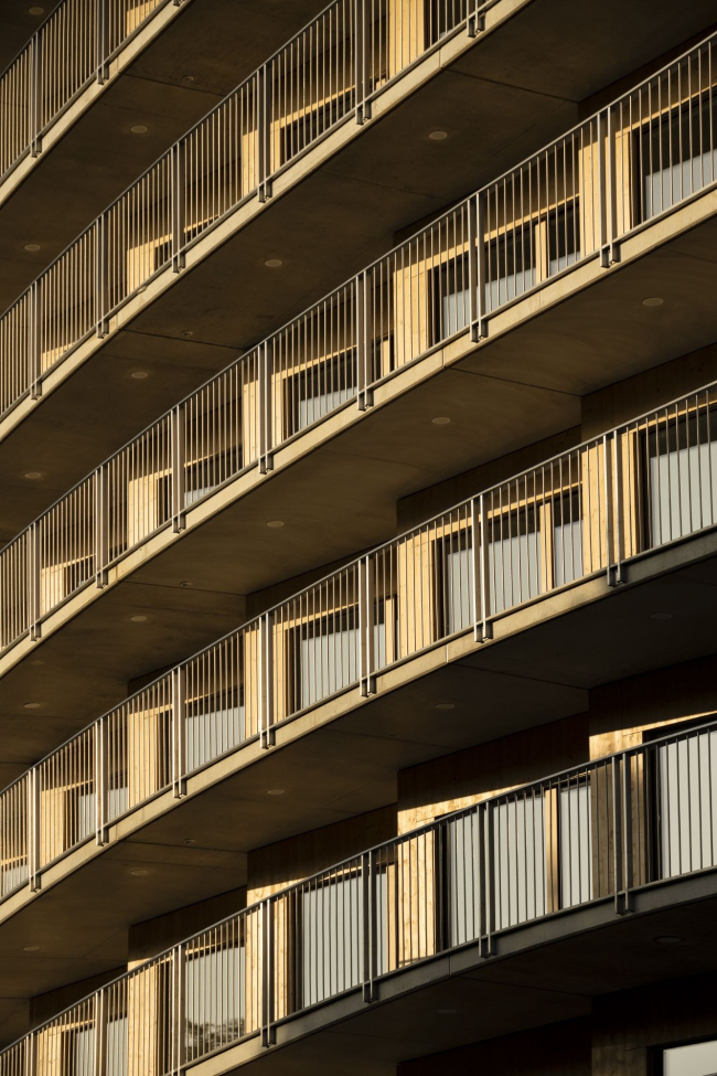 ������������ ��������� Vortex