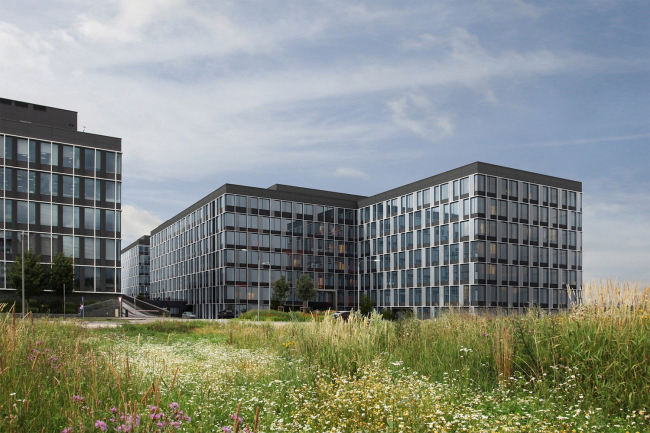 ���� �����. ������� �������� �COMCITY�