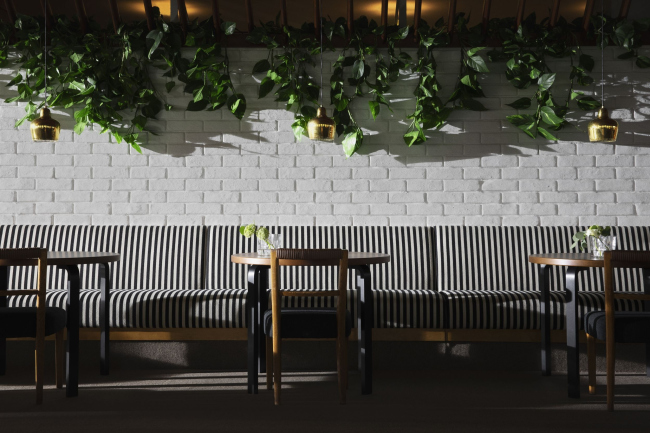 �������� Savoy