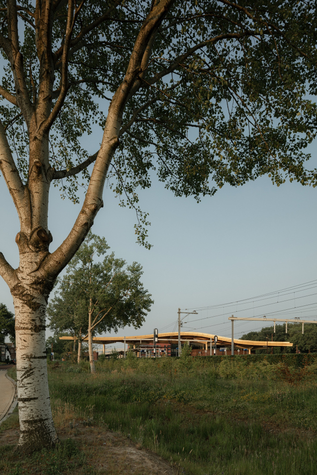 ������ � ������