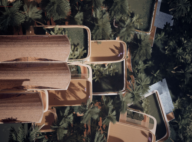 ����� �������� � ���� ��������� � �������������� �������� Roatán Próspera