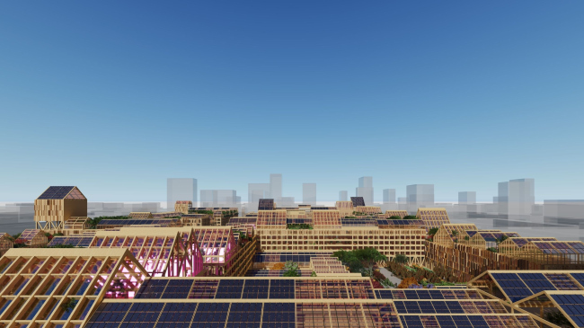 ����� ������ ��� ������ ������ �������