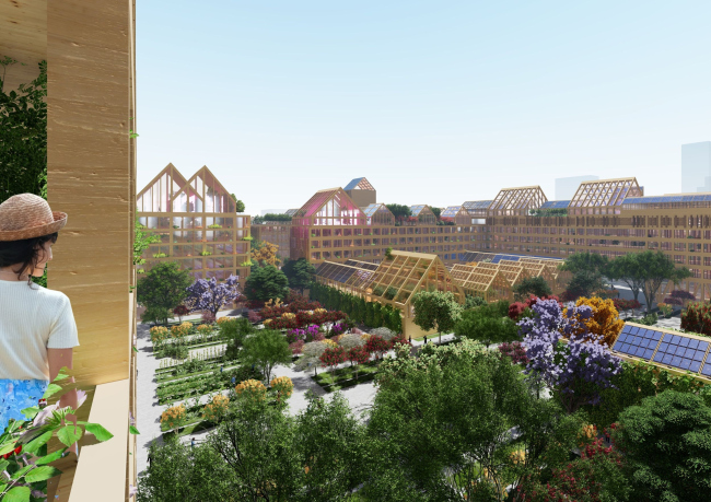 ����� ������ ��� ������ ������ �������