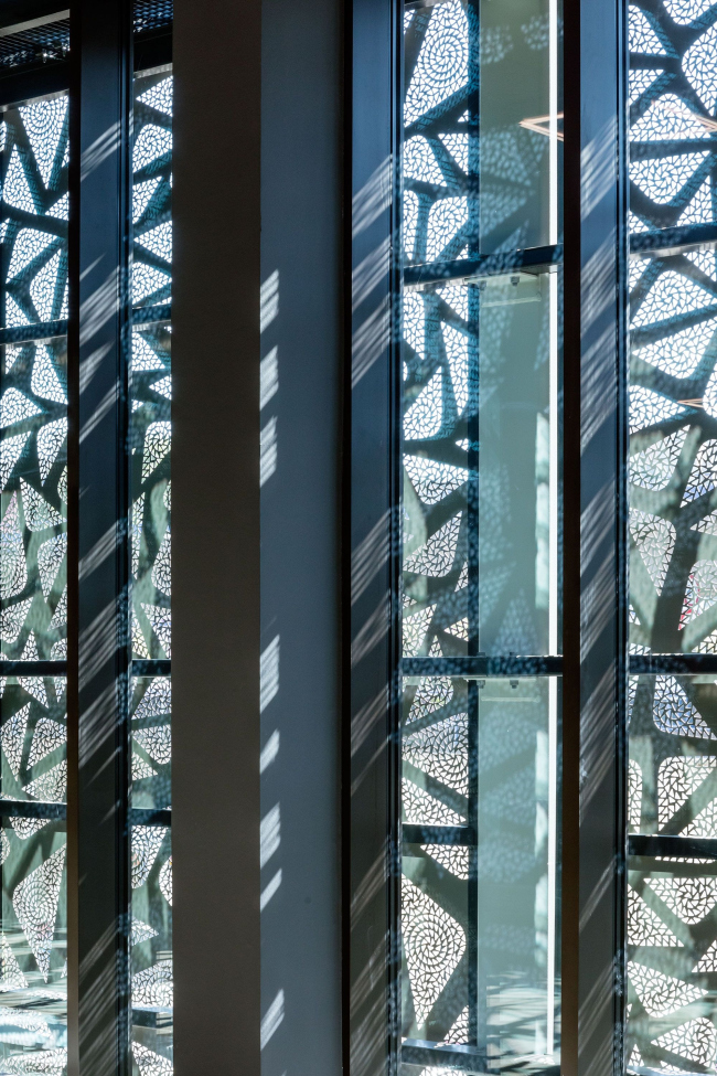 ����� ���������