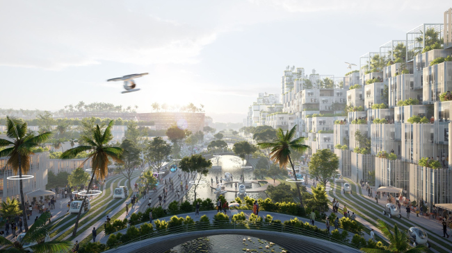 ���������� ����� �������� � ��������� ������� BiodiverCity