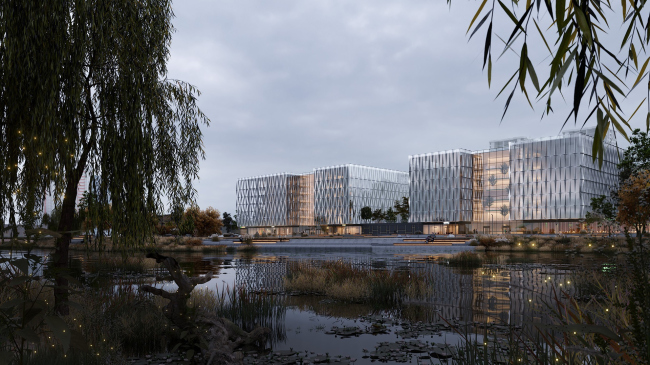 ������ ����� �� ����� ���������