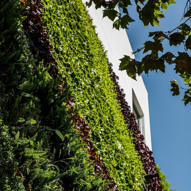 ����� �������� Gardenhouse