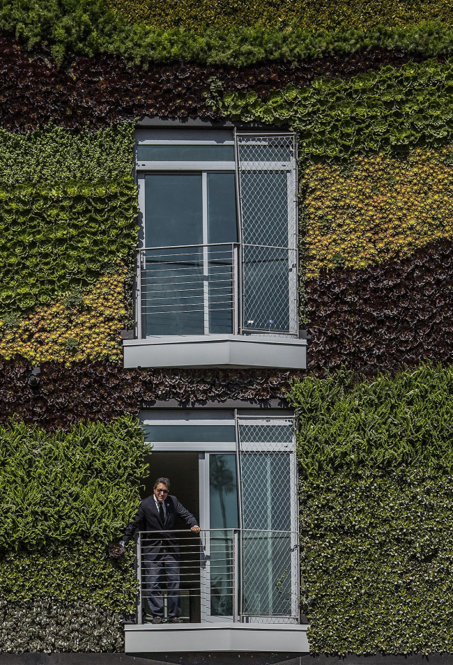 ����� �������� Gardenhouse