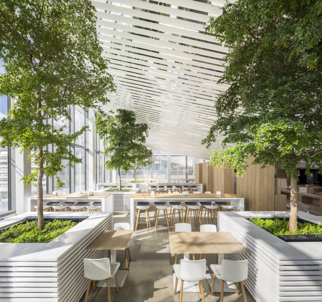 ����� Saint-Gobain