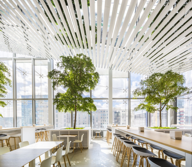 ����� Saint-Gobain