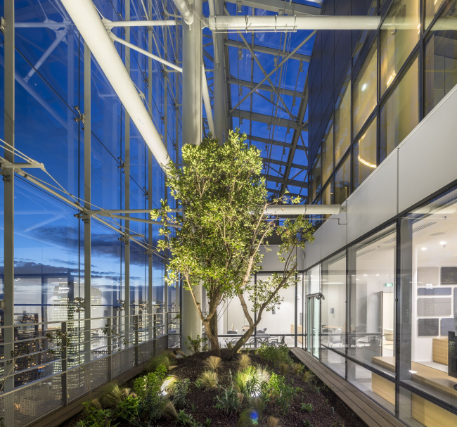 ����� Saint-Gobain