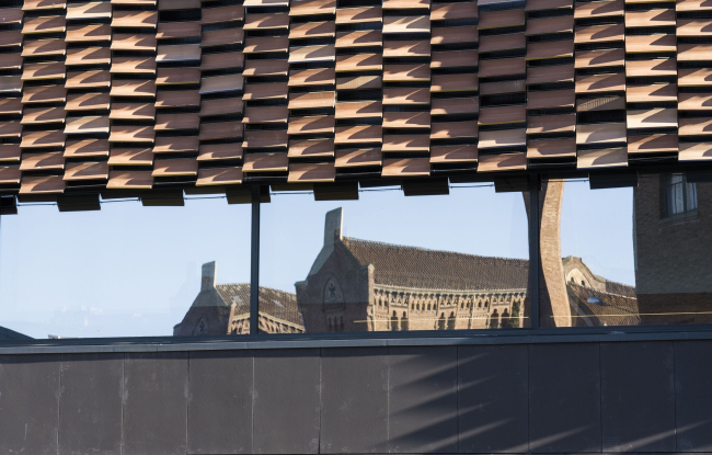 ����������������� �������� �������� ���-���