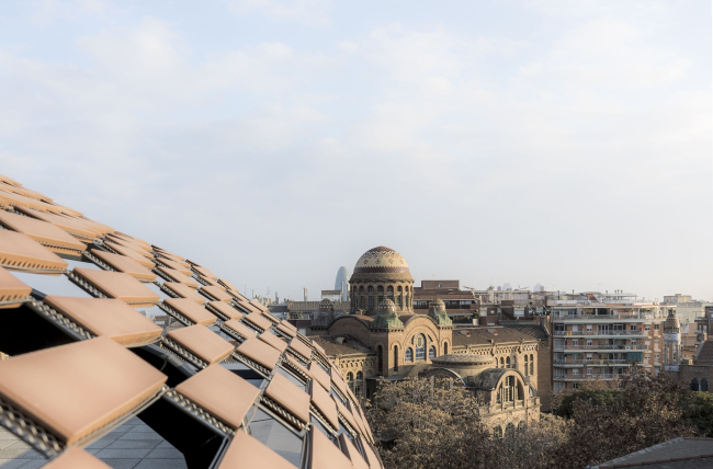 ����������������� �������� �������� ���-���