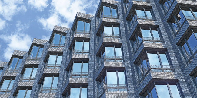 ����� �������� ������ ����