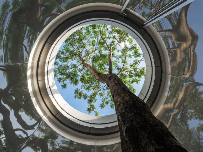 ����������� ����� ������������ ��������� �������� ������������ ����