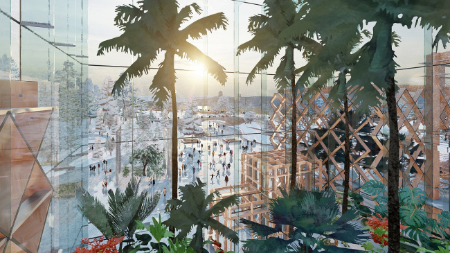 ������������� ���� ������� �����