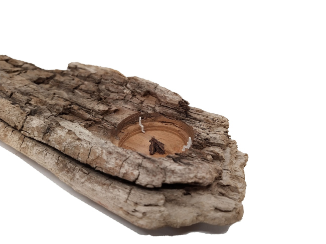 ������������� ���������� ������� ���������